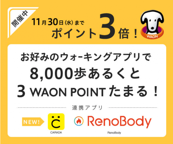 reno-body ポイント3倍