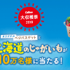 【10万名に当たる!!】カルビー大収穫祭2018開催！