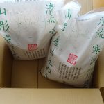【ふるさと納税】山形県寒河江市から山形産はえぬき10kg届いた！