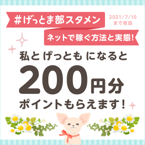 アニメイト 1番還元率が高いポイントサイトを調査してみた ネットで稼ぐ方法と実態 お小遣い稼ぎ