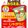 【先着8万名!!】じゃがりこプレゼント！エディオンアプリ キャンペーン