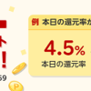 【最大19％還元!!】38時間限定 楽天Rebates ダブルポイントバックキャンペーン