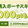 【何度でも200円分もらえる!!】SHEIN 2,000円以上購入で12%＋200円分ポイントもらえる！キャンペーン